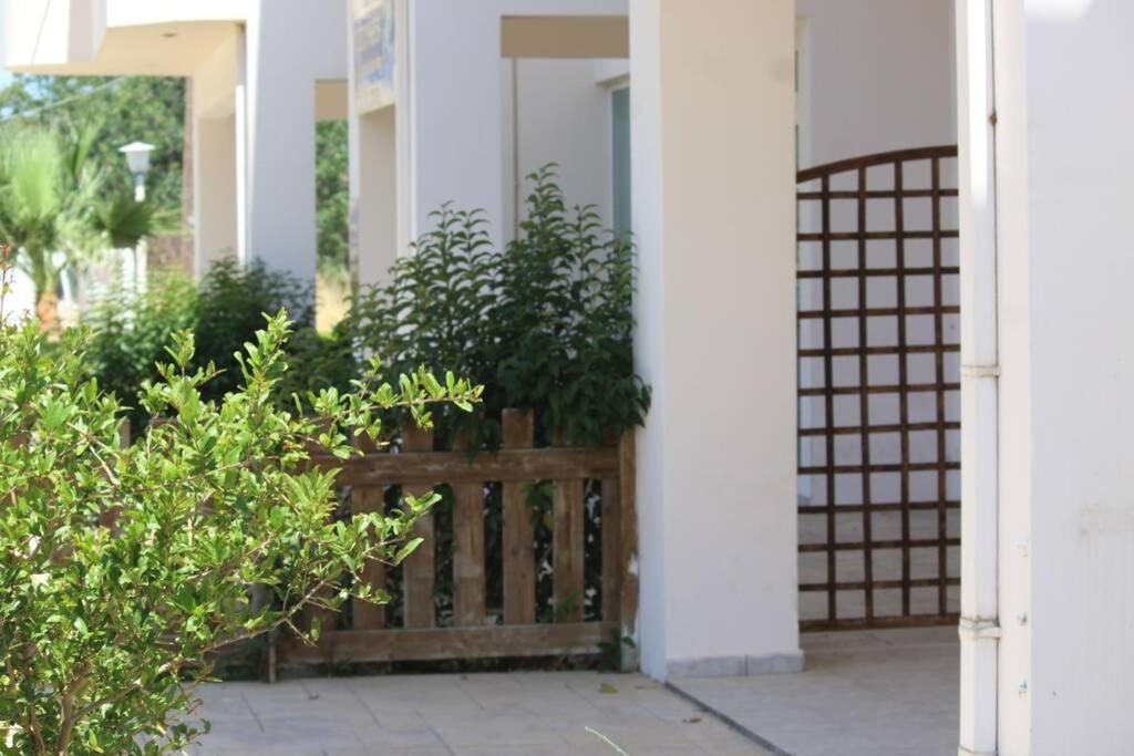 Spacious & Cozy Apartment, With Big Yard, In Kos Esterno foto